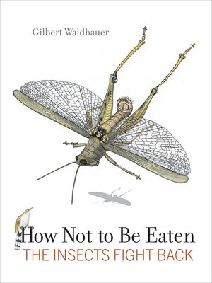 cover image of How Not to Be Eaten